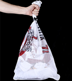 Laundry Bag