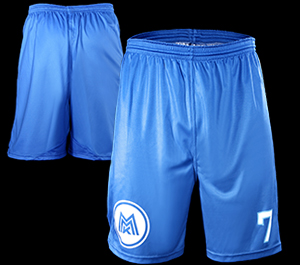 PRO HANDBALL SHORTS